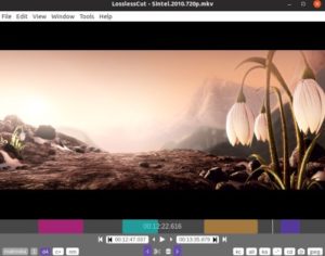 LOSSLESSCUT DOWNLOAD FREE visual data 6